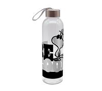 GEDA LABELS Unisex Youth Peanuts Be Cool Water Bottle, Glass Bottle, Multi-Colour, 500 ml