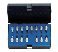 Gedore INS20PM 1/4 Screwdriver Bit Socket Set - Silver (15-Piece)