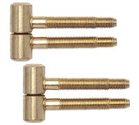 Gedotec Door Hinges for Interior Doors Renovation Hinges 2-Piece Drill-in Hinges for rebated Wooden Doors | Size ø 16 mm | Brass-Plated Metal | Load Capacity up to 40 kg