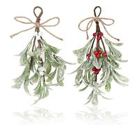 GEEHUA 2 Pcs Christmas Mistletoe Hanging Ornament, Artificial Mistletoe Decor, Mistletoe Kissing Ball Xmas Dry Leaf Hanging Decoration Shiny Christmas Tree Bouquet Accessories for Tree/Door