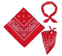 GEEHUA Pack of 2 Bandanas for Men and Women, 55 x 55 cm, Paisley Pattern, Red, 55 x 55cm