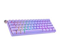 Geeky GK61 60% | Hot Swappable Mechanical Gaming Keyboard | 61 Keys Multi Color RGB LED Backlit for PC/Mac Gamer | ANSI US American Layout (Lavender, Mechanical Speed Silver)