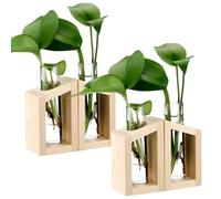 Geelin 4 Pcs Plant Propagation Station Glass Test Tube with Wooden Tray Plant Terrarium for Hydroponic Propagation Vases for Plants Starter Tubes Garden Decorations Gifts for Plant Garden