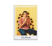 GEENUM Rex Orange County Poster Vintage Art Cover Room Decor Aesthetic for Bedroom Living Room Walls Aesthetic Poster 08x12inch(20x30cm) Unframe-style