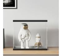 GeenYuu Acrylic Display Box 40 x 36 x 35 cm Transparent with Black Lid and Base Display Case Dustproof for Collectors, Exhibitions, Presentations, Storage, Shelf, Retail