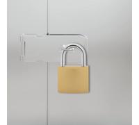 GeenYuu U Lock with Keys Pack of 12 Brass Iron Padlock Lockable for Cabinets Locker Garage Gate Weatherproof Rustproof Security Burglary Protection Shackle Latch
