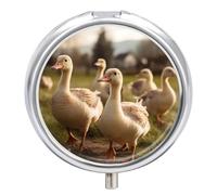 Geese Walking on The Grass Pill Box Cute Round Pill Case Portable Medicine Tablet Vitamin Holder Organizer for Purse Pocket
