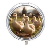 Geese Walking on The Grass Pill Box Cute Round Pill Case Portable Medicine Tablet Vitamin Holder Organizer for Purse Pocket