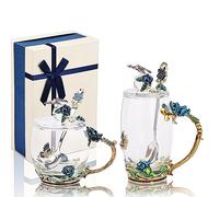 GeeWaa Enamel Butterfly Flower Glass Coffee Mug with Spoons and Lids,Pack of 2 Sets with Gift Box for Woman,Mum,Grandmother,Girlfriend,Sisters,Christmas,Birthday(Blue)