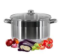 GEEZY 17.5L Stainless Steel Stock Pot with Glass Lid & Induction Base 32cm
