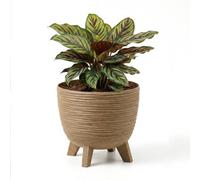 Geezy Brown Plant Pot With Legs 29Cm Indoor Outdoor Planter For Home Patio Garden