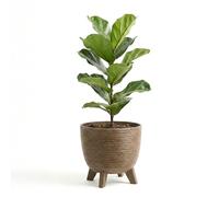 GEEZY Brown Plant Pot with Legs, 39.5 cm - Weather Resistant Indoor & Outdoor Planter - Modern Textured Flower Pot for Living Room, Garden & Patio