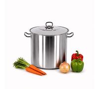 GEEZY Gastro Large Deep Stainless Steel Stock Pot with Lid Induction Stockpot 8.5L