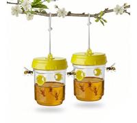 GEEZY Hanging Wasp Trap for Fruit Fly Hornet Outdoor Indoor Bee Deterrent Set of 2