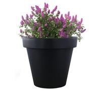 GEEZY Anthracite Flower Pot - Durable, Stylish Plastic Plant Tub for Indoor & Outdoor Use, 30x26 cm, Versatile Garden Pot for Flowers, Herbs, Succulents - Easy Maintenance, No Drainage Required