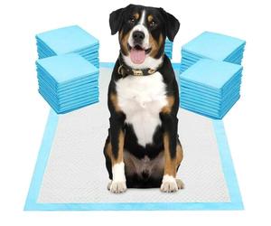 GEEZY Large Puppy Training Pads 60x60cm - 5 Layer Design with Quick Dry Surface, Leak Proof, Dog Essentials - Disposable Puppy Pee Pads for Toilet Training - Suitable for Home, Car, Outdoors 144Pcs