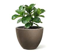 GEEZY Oval Plant Pot with Insert, 29.8 cm - Modern Coffee Coloured Outdoor & Indoor Planter - Weather Resistant Flower Pot for Living Room, Garden & Patio