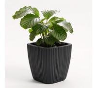 GEEZY Plant Pot with Removable Insert 29cm Indoor Outdoor Home Garden Flower Planter