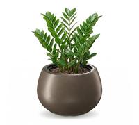 GEEZY Round Plant Pot with Insert, 37 cm - Modern Coffee Coloured Outdoor & Indoor Planter - Weather Resistant Flower Pot for Living Room, Garden & Patio