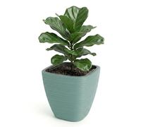 GEEZY Sage Green Plant Pot with Insert, 28.9 cm - Weather Resistant Indoor & Outdoor Planter - Modern Flower Pot for Living Room, Garden & Patio