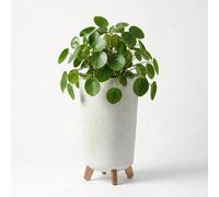 GEEZY Tall Plant Pot with Legs 23.9cm Indoor Outdoor Weather Resistant Garden Planter