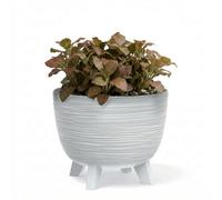Geezy White Plant Pot With Legs 23.6Cm Indoor Outdoor Planter For Home Patio Garden