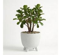 GEEZY White Plant Pot with Legs, 39.5 cm - Weather Resistant Indoor & Outdoor Planter - Modern Textured Flower Pot for Living Room, Garden & Patio