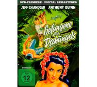 Gefangene des Dschungels (DVD) Jeff Chandler Budd Boetticher Anthony Quinn