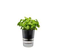 Gefu Botanico Self-Watering Herb Pot