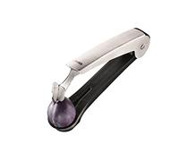 Gefu ge19160 Dropio in Plum Pitter Stainless Steel 21.2 x 8.19 x 4.2 cm, Stainless_Steel, 21.2 x 8.2 x 4.2 cm