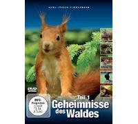 Geheimnisse des Waldes - Teil 1