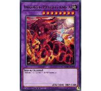 GEIM-EN056 Invoked Magellanica