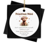 Geiserailie Highland Cow Gifts, Christmas Ceramic Ornament with Gift Box | Cute Ceramic Highland Cow Ornament with an Uplifting Message, Ribbon and Gift Box for Christmas Trees, Friends and Coworkers