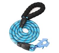 GEIT 2/4/5/6FT Dog Leash, Heavy Duty Rope Leashes, Reflective Nylon Pet Lead with Aluminum Quick Release/Locking Tactical Frog Clip for Small Medium and Large Dogs, Blue, 1/2 inch