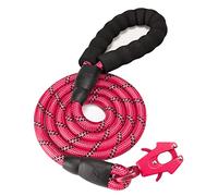 GEIT 2/4/5/6FT Dog Leash, Heavy Duty Rope Leashes, Reflective Nylon Pet Lead with Aluminum Quick Release/Locking Tactical Frog Clip for Small Medium and Large Dogs, Red, 1/2 inch