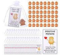 Gejoy 50 Set Inspirational Potato Gift Bulk Positive Emotional Gifts Mini Potato with Cards Support Encouragement Motivational for Graduation End of Year Colleague Student Teacher Team