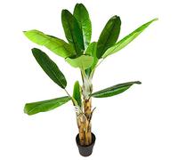 Geko Artificial Banana Tree, Wood/Plastic, Green, 140cm