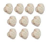 GeLaozee 10PCS Raw Pumice Stone Specimens - Lightweight Porous Volcanic Rock for Gardening, Skincare & Craft