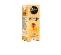 Gelato 4ever - Mango Vegan Italian Gelato Ice Cream Mix, Easy & Quick to Use, Compatible with Ninja Creami and Any Soft Serve Ice Cream Machine & Maker, Icecream & Dessert, 1 lt, Made in Italy