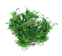 Gelb&Schwarz Flower Garlands Moss Artificial Moss For Potted Plants Greenery Moss Home Decor Fairy Garden Crafts Wedding Decoration Fresh Green Gypsophila Artificial Flowers