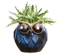 GeLive Blue Owl Ceramic Succulent Planter with Drainage Hole Animal Plant Pot Tabletop Decoration Vase Window Box Indoor Outdoor Decor (Blue)