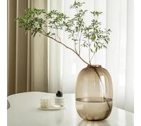 GeLive Brown Glass Vase Round Clear Colored Flower Vase for Centerpiece Long Stem Branch Fresh Artificial Plant Bottle Modern Home Indoor Decoration (Brown)