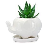 GeLive Elephant White Ceramic Succulent Planter Flower Plant Pot Window Box with Saucer Animal Decor (Mom Elephant)