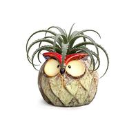 GeLive Owl Planter Ceramic Succulent Plant Pot Fun Animal Flower Container Decoration Tabletop Decor Windowsill Box with Drainage Hole Plug (Fat Owl Planter)