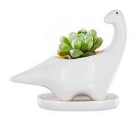 GeLive White Dinosaur Ceramic Succulent Planter Flower Plant Pot Window Box with Saucer Cartoon Animal Decor, 5 Inch, Indoor Outdoor