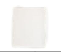 Gelli Arts GL013964779127 Gel Printing Plate, 16 inch x 20 inch, clear