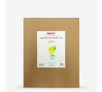 Gelli Arts GL013964779127 Gel Printing Plate, 16 inch x 20 inch, clear