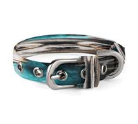 Gem Cave Chihuahua Dog Collar Adjustable Pet Collar Stainless Steel D-Ring Collar Oxford Cloth Cat Collar Strap with Metal Buckle for Small Medium Dog