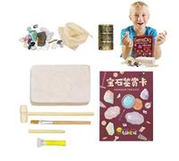 Gem Dig Kit - Fossil Science Kit, Fossil Dig Activity Set | Fossil Excavation Science Toy Discover Gems with Dig Tools, Gem Fossil Treasure Hunt Fossil Gemstone Dig Kit for Children's