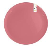 Gem Imports Coral Pink Round Reusable Plastic Plates 25cm - Pack of 2